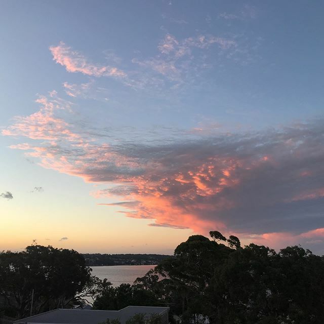 writingquietly's tweet image. “Observe the wonders as they occur around you. Don’t claim them. Feel the artistry moving through and be silent.”
Rumi

#quietwriting #besilent #observeandlearn ift.tt/2BJLsxL