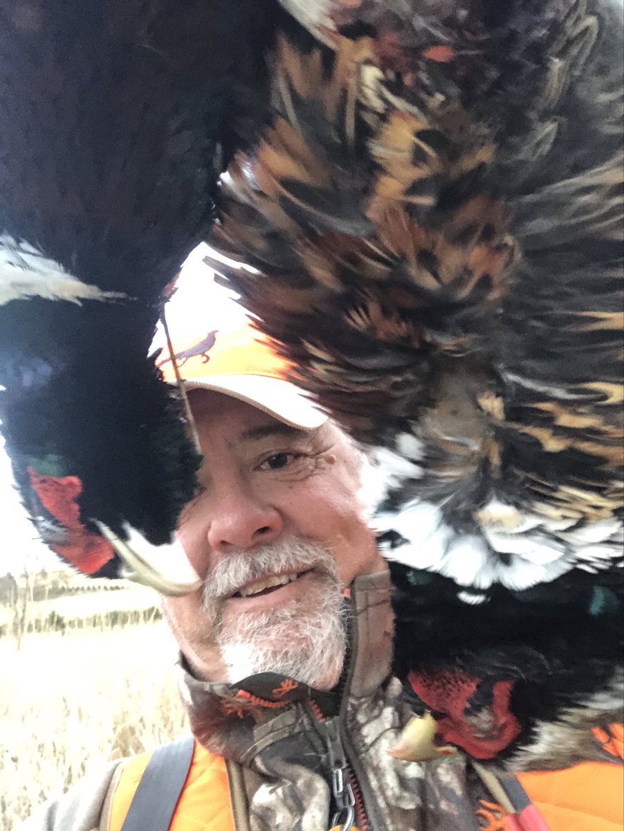 habitatchampion's tweet image. You wait all year for fall and pheasant hunting. If you’re with a group of veterans like I was this weekend that’s a fabulous good time. When you go out by yourself for some quiet time with you and your dogs that’s a great time as well