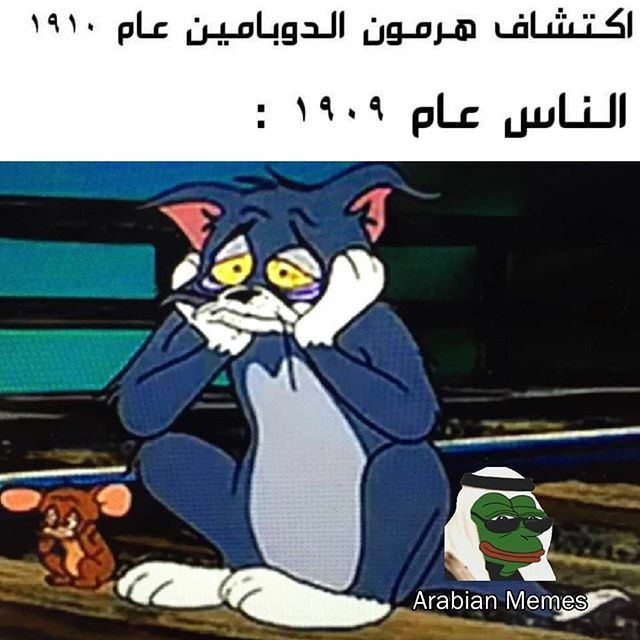 Arabian Memes on Twitter: Arabian Memes on Twitter:
