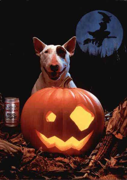 Beer Loves Lexington tweet media