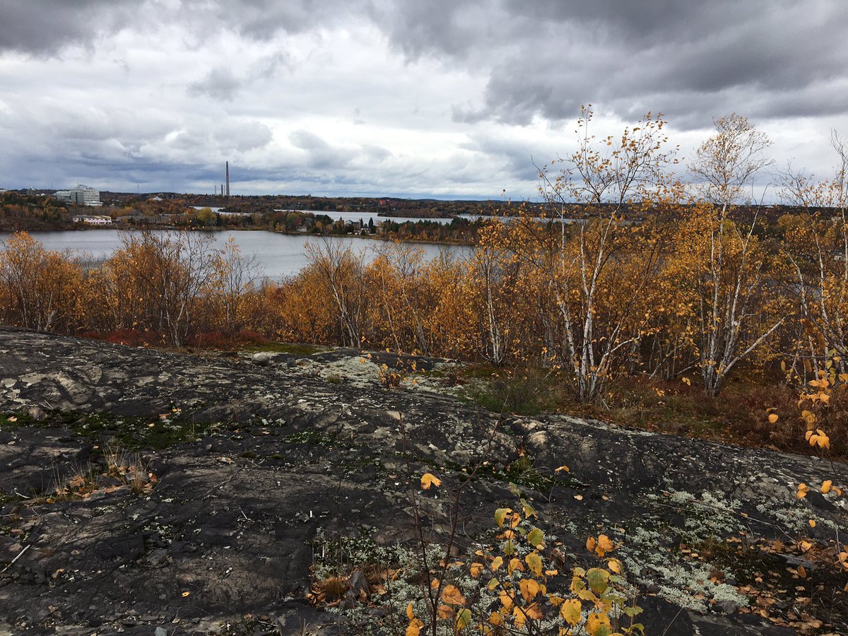 CityMeets4Her's tweet photo. Week 4: Hike 2 @Rainbow_Routes Bethel Lake Trail #RRATrailChallenge. What an beautiful trail with boardwalk and hills. So scenic too! https://t.co/EAkPn5ZBqF