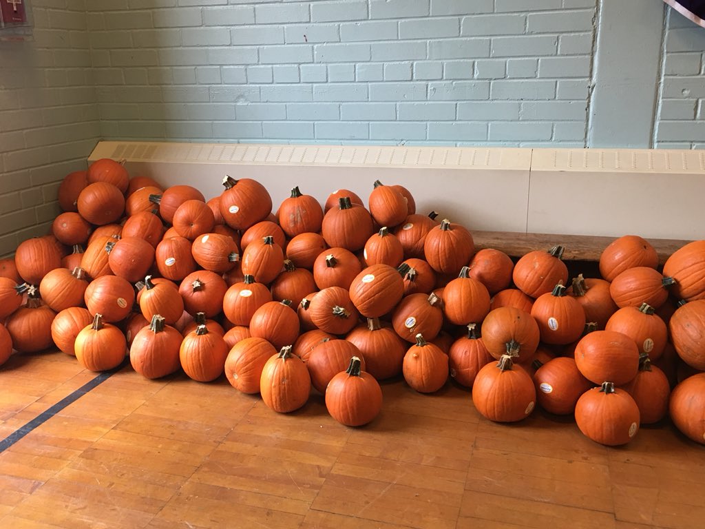 samanleelee's tweet photo. Great turn out for annual pumpkin carving @TDSB_Ogden .  Thank you @sobeys Fort York for pumpkin donation! https://t.co/ZE1UkmMLbU