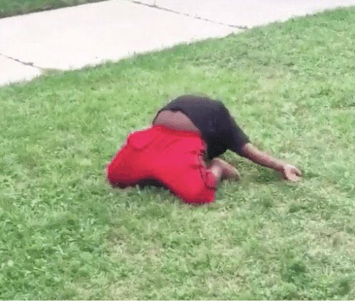 Jimena Borrayo✨ tweet media