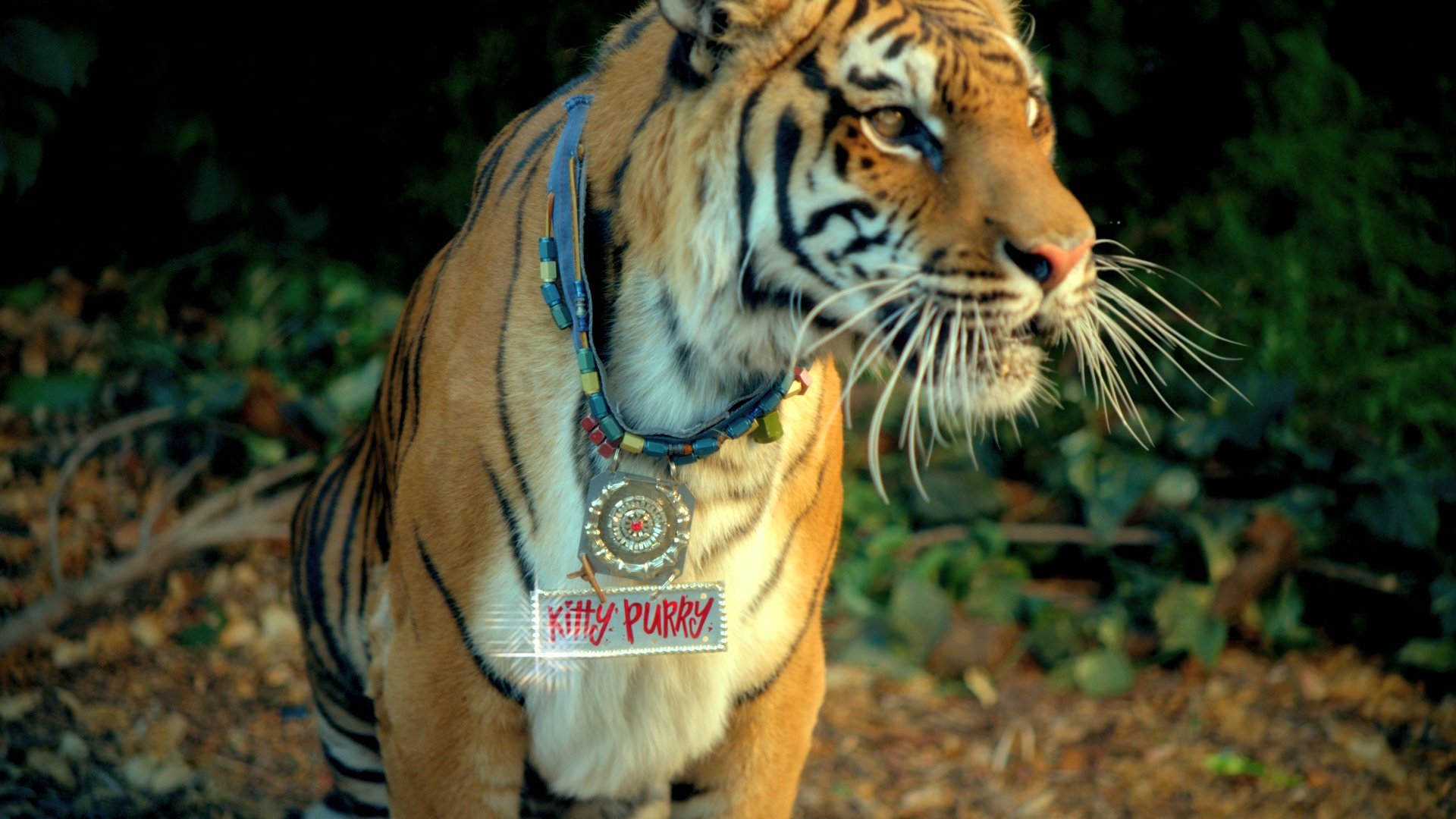 Real Green Tiger