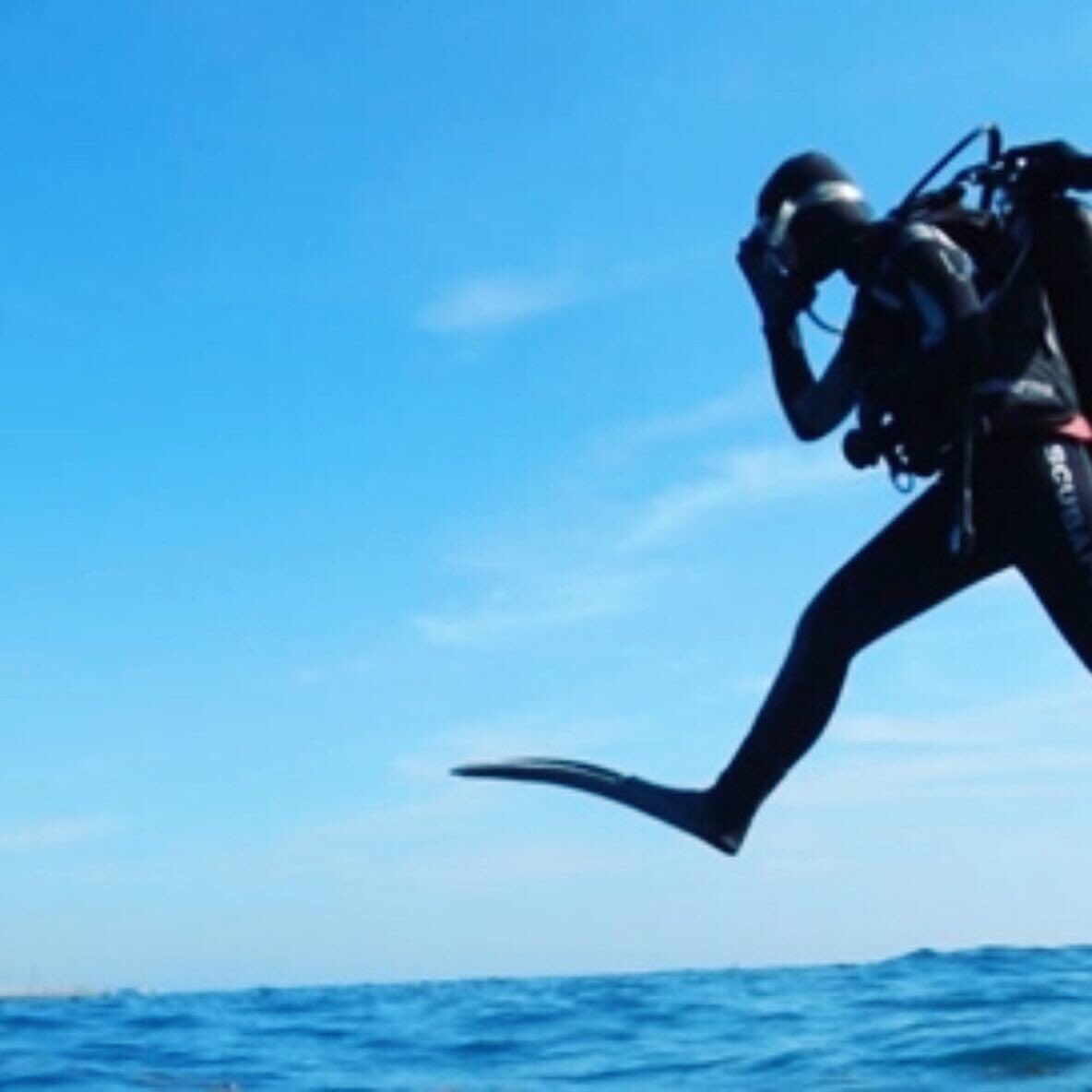 melick_ryan's tweet photo. #scuba #shark #October1st #Holly #fun #life #CraftBeer #CriticalRole #whale #whaleshark #ohshit #mountains #MediaLitMorgan #media #SHAREEF #share #Subscribe #YouTuber #youtube https://t.co/JV9rJBJtCK