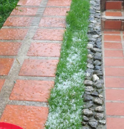 Ver imagen en Twitter