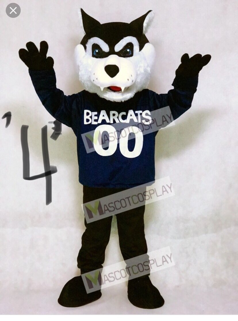 ATTENTION BEARCAT NATION!   Which Mascot Do You Like the Most?  Looking at replacing Bruiser.  It’s Time!   He served Bearcat Nation admirably but time for a new one.  Once we choose a new one, we will then send out a poll for a new name. <a href="/Loofe33/">C.M. Loofe, Ed. D</a> <a href="/kearneyhighche1/">kearneyhighcheer</a> <a href="/CatzKhs/">KHS Dance Catz</a>