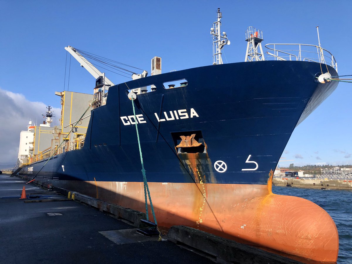 Our visitor today, COE LUISA. It is a General Cargo Ship built in 2008 and currently sailing under the flag of Antigua &amp; Barbuda. 

#yyj #yyjcruise #businesspoweredbycruise #cargo #ships #victoriabc #yyj #vancouverisland #westcoast #canada #explorebc #hellobc #tourismbc #travelbc