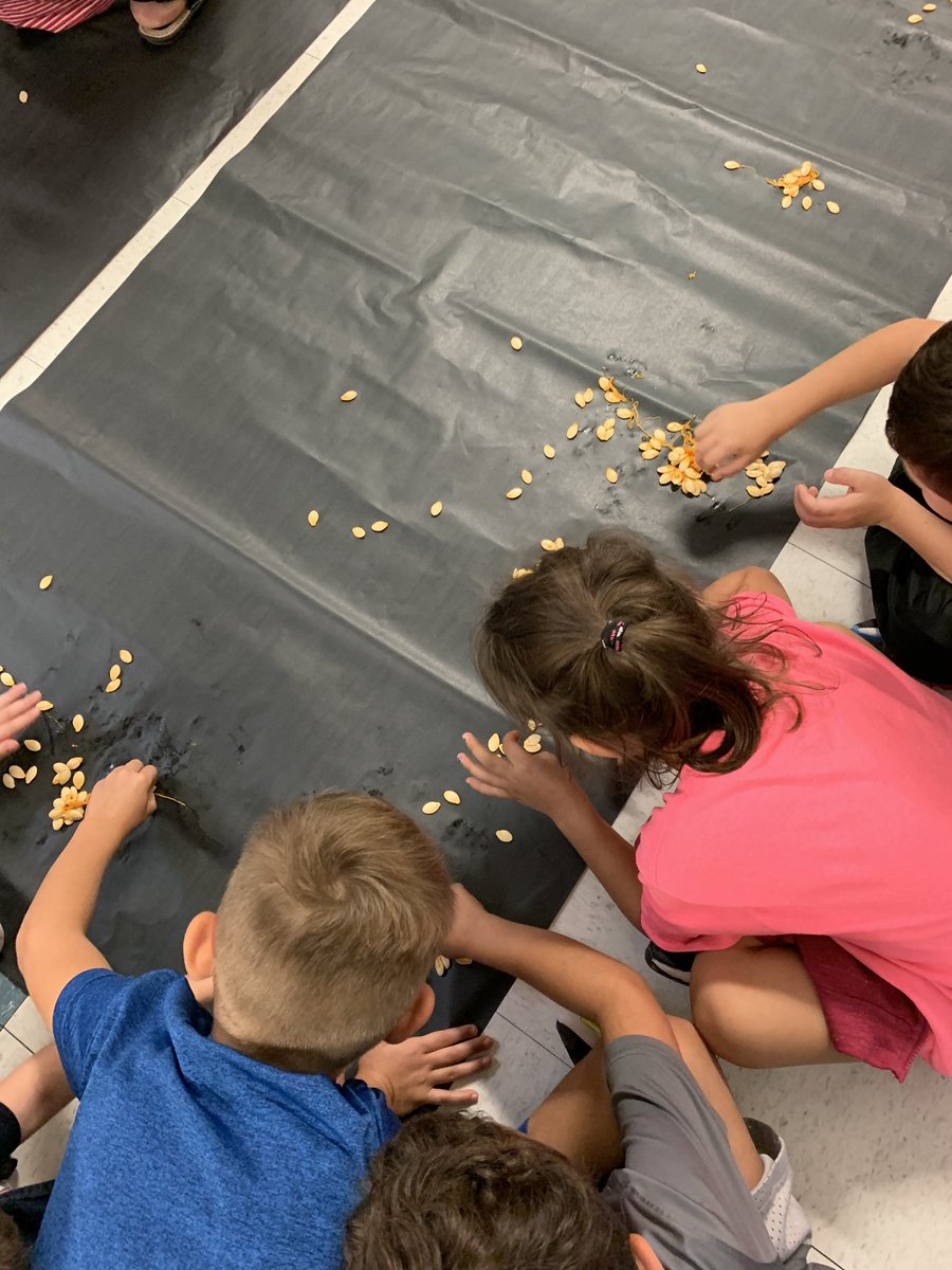 JCPrice331's tweet image. Students used their 5 senses to investigate pumpkins this week!! We discussed adjectives, grouping &amp;amp; counting by tens, measuring, and teamwork!! @FairOaksRanchES