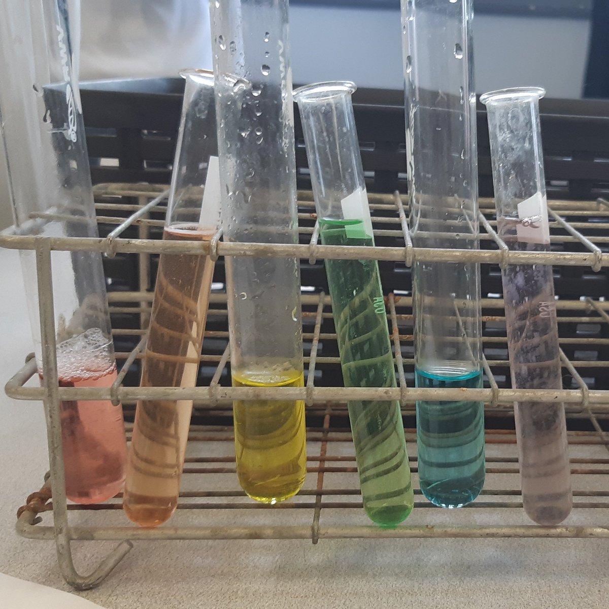 ScienceShimmers's tweet photo. Today we learned how to measure chemicals and made these beautiful rainbows. #rnsscience #RNSsteam #iteach #teachersofinstagram #iteach678 #cohort21 https://t.co/k50WMHgdiJ