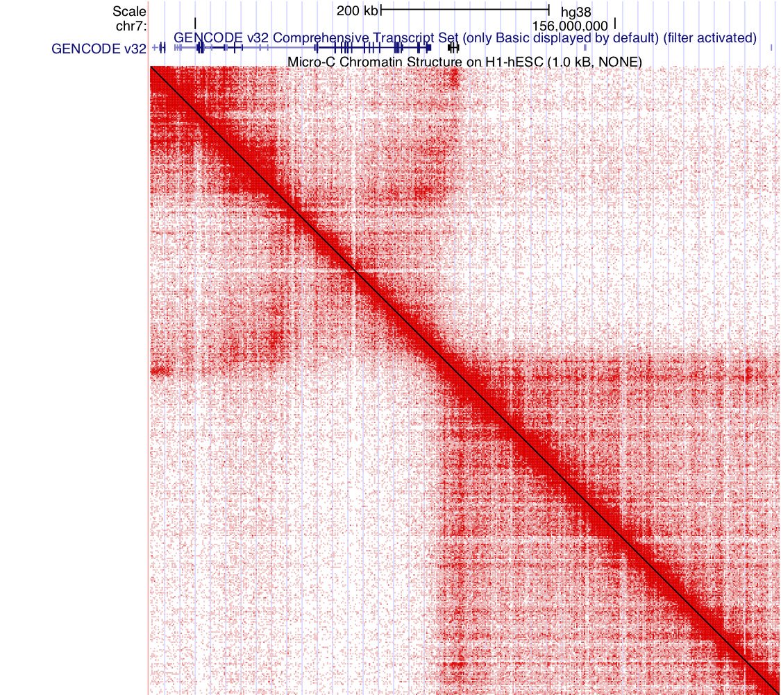 We are pleased to announce new Hi-C heatmap tracks for hg19 and hg38. This is part of our ongoing support for researchers studying the structural components of gene regulation. genome.ucsc.edu/goldenPath/new…