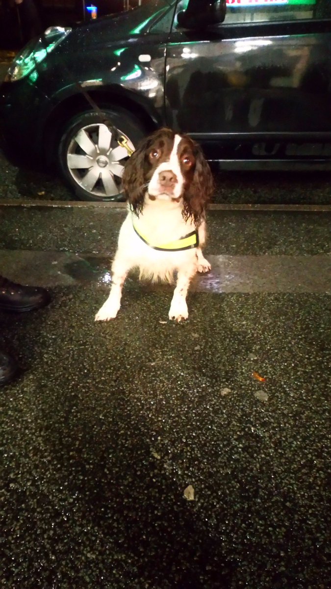 MaccCentralPol's tweet image. Officers and PD Rufus have been doing licensing checks in Macclesfield tonight. Cracking down on drug use in the town centre #wecare #rufussmellseverything #drugcrackdown