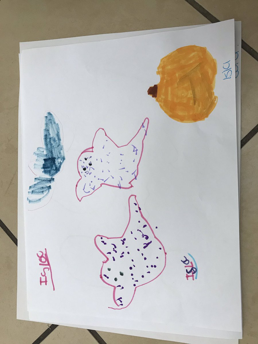 kinderkidseps's tweet photo. https://t.co/0XQmvGWPNw