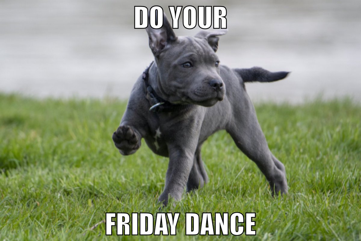 BetaTrainsDogs's tweet photo. Have a great weekend!#betadogtraining #yegdogtrainer #yegdogs #yeglocal #supportsmallbusiness https://t.co/fTbEXnzTV2