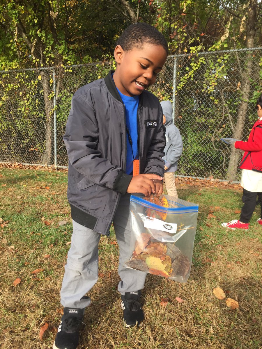 MissFennerSCES's tweet photo. We’re going on a leaf hunt!  We are going to find some colorful leaves!  Students collected and sorted their leaves by color and type.  #leavesarefalling #handsonscience #leafhunt #outdoorlearning #fallseasonalchanges @SwansCreekES #weareswans https://t.co/hC7HC8xxMr