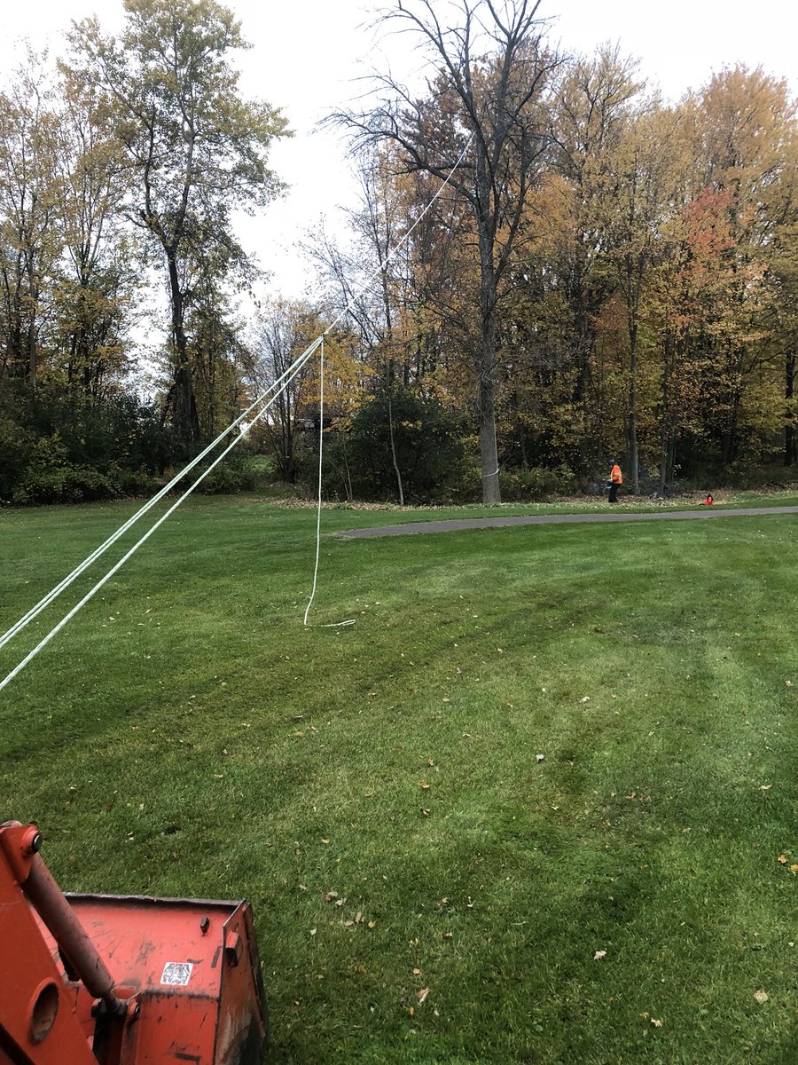 ryanarthur21's tweet photo. Spent the late afternoon falling this monster of a dead ash tree- large hazard removed @CobbleHillsGolf #sticksfordays #timber #cleanupisle18 https://t.co/dYCP45118s