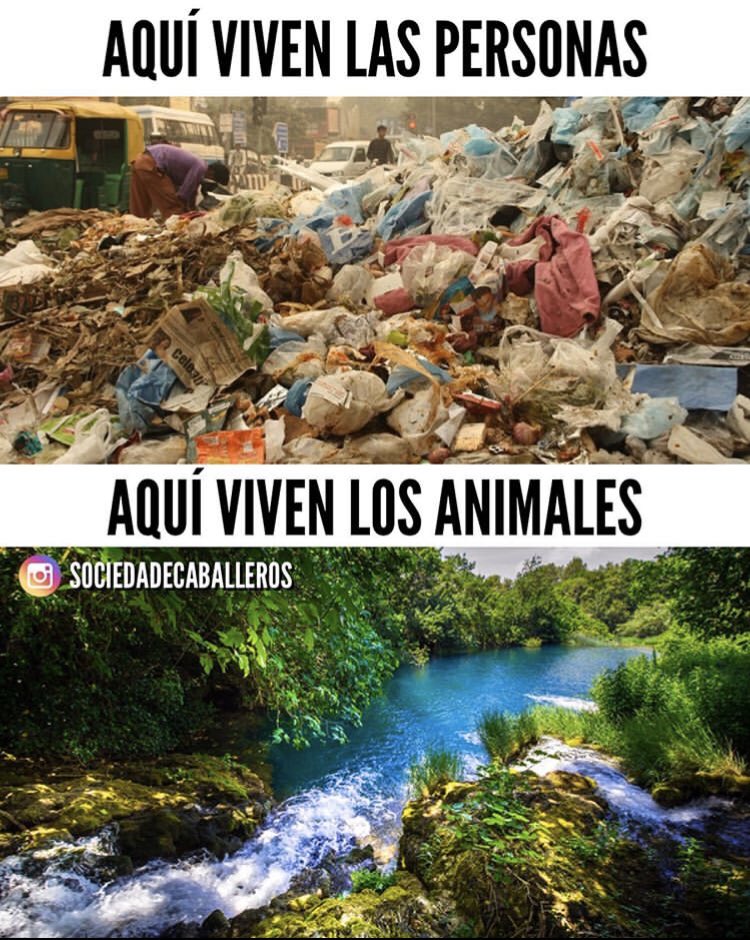 Increíble que en nuestra sociedad esté pasando esto! instagram.com/p/B4DIAfql_S0/…