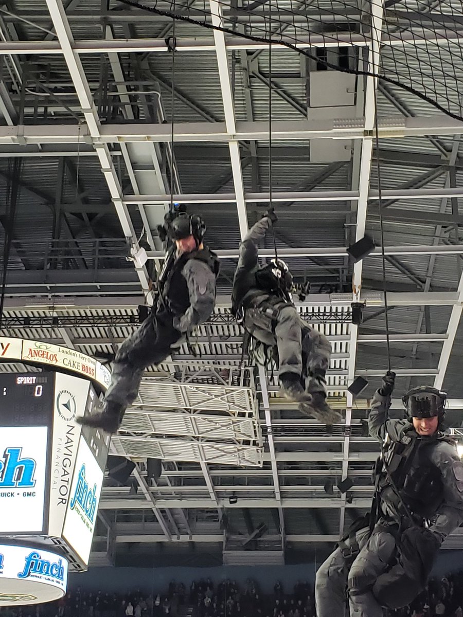 Steve Williams tweet media