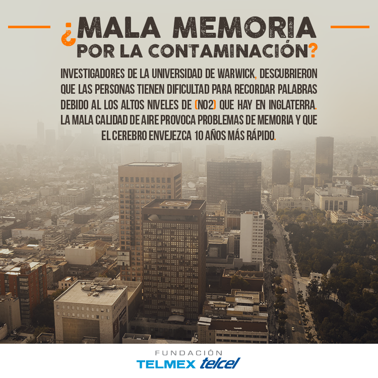 fundaciontelmex's tweet photo. Una mala calidad de aire puede ir más allá de nuestros pulmones...🌏🧠😧 https://t.co/SoKN9zkx2S