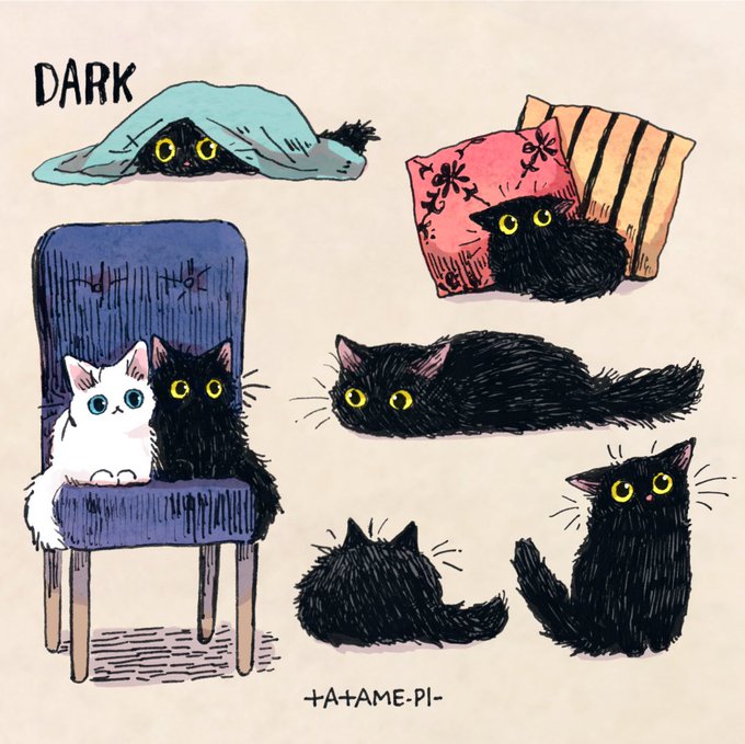 「黒猫 サイン」のTwitter画像/イラスト(人気順)
