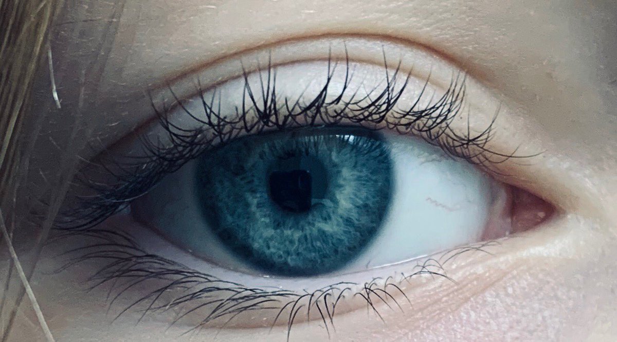 timseymour's tweet image. 