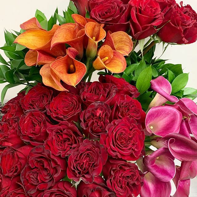 Someone special got lucky today!
#florist #flowers #instaflowers #roses #callalily #blooms #floraldesigner #foliage #chic #modern #contemporary #grouping #houston #houstonflorist #texasflorist #love #gift #luxury #luxurylifestyle #houstonastros #weddingi… ift.tt/33XwAb8