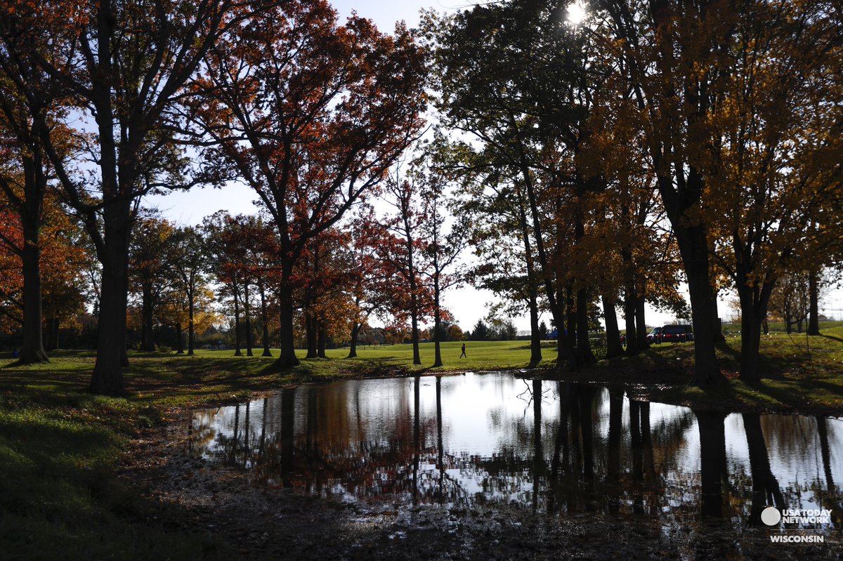 ebonycox13's tweet photo. A few images from the Division 1 Girls &amp; Boys Sectional Meet at Woods Golf Course! Click the link below to see more images. @BayPortHS @PCSD_PHS @AshwaubenonSD @gbpressgazette @PrebleCC 
https://t.co/WcSnywJH3F https://t.co/IXRm3GzWBq