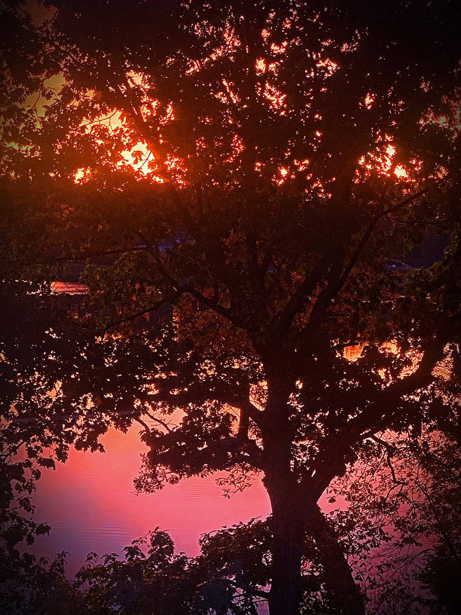 RealRonHoward's tweet image. Have a great weekend