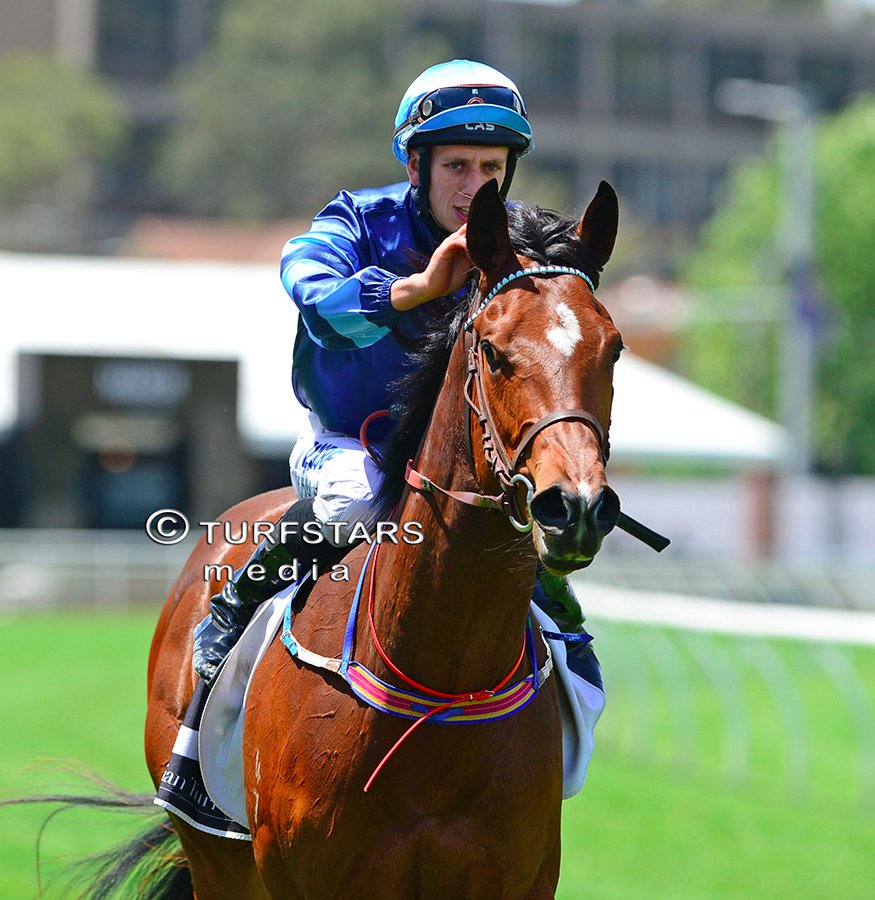LisaGrimm9's tweet photo. Siyouni (FR) filly SEE YOU SOON wins the opening race at @royalrandwick FORUM GROUP KIRKHAM PLATE (1000 METRES) for trainer Jean Dubois, @jeanvovermeire and @Woodparkstud https://t.co/3VVX8HIzcn