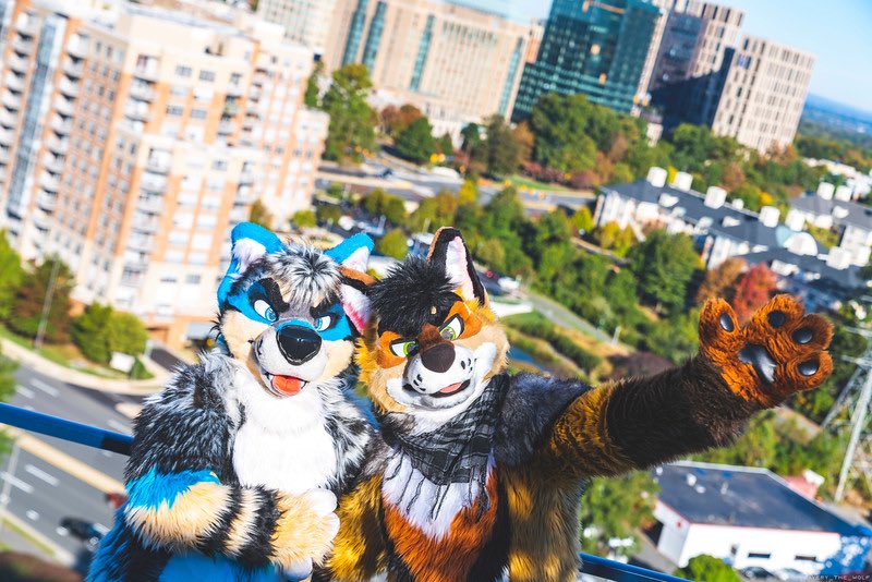 The World is our Oyster 🌎🤩

🐶<a href="/ManuelBarks/">ManuelDawg</a> <a href="/ryotjackal/">Ryot Jackal</a> 
📸<a href="/Avery_The_Wolf/">🅰️very (RIP TWlTTER)</a> #FursuitFriday