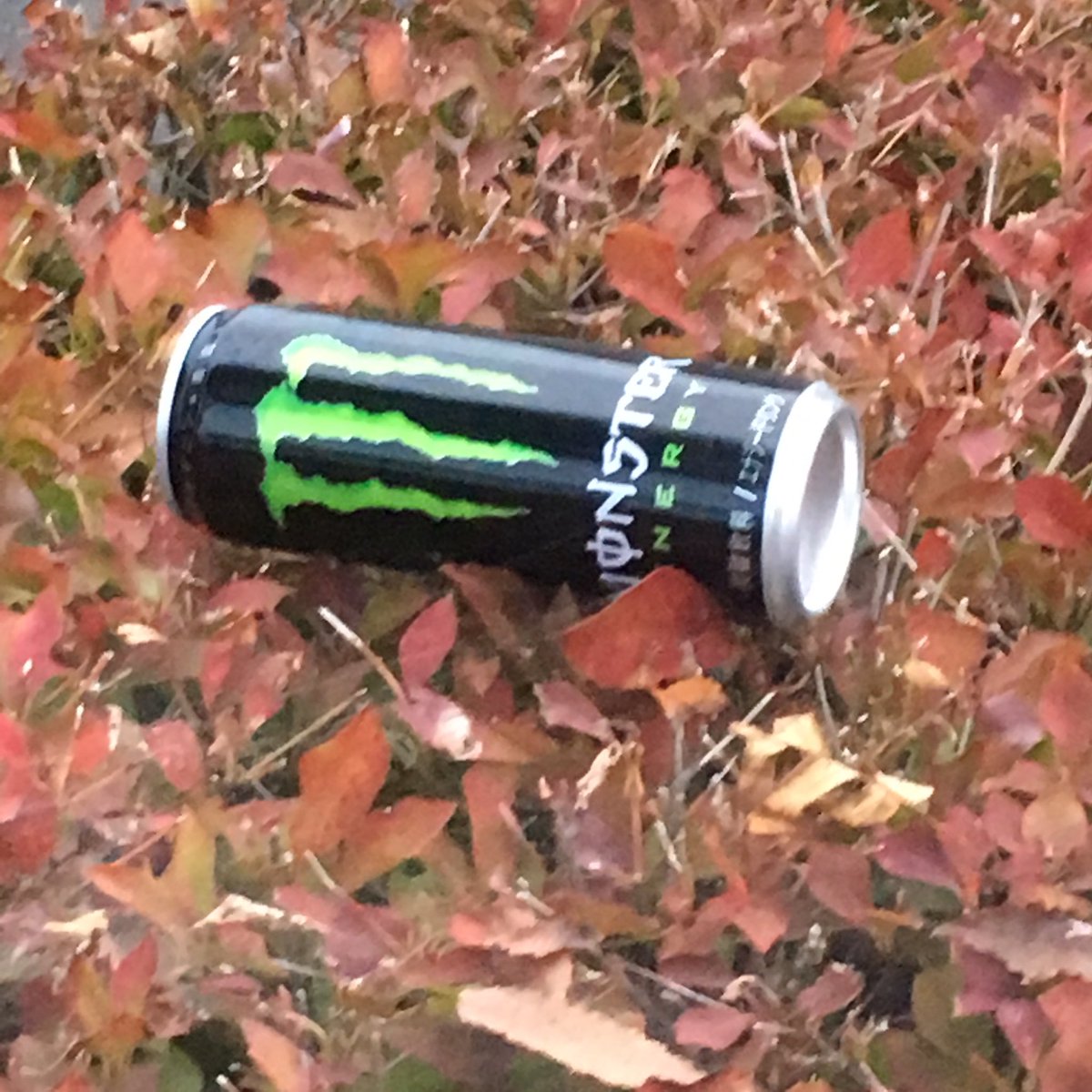 空き缶のポイ捨て