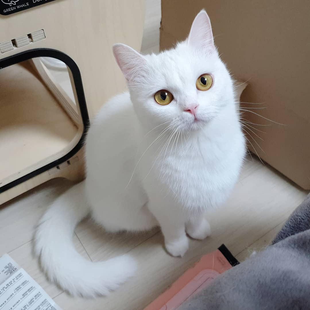 구름호빵이네 ₍˄·͈༝·͈˄₎◞ ̑̑ෆ tweet media