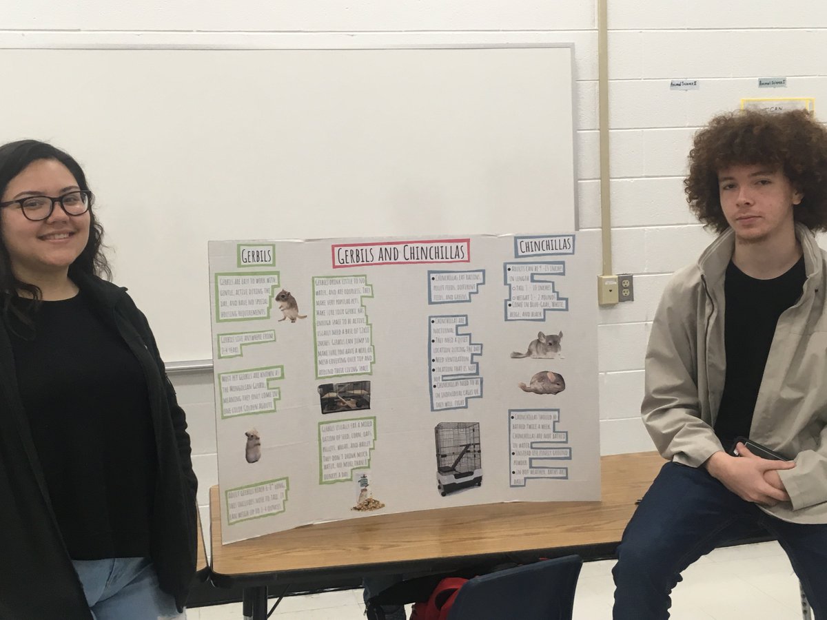 overcomer1711's tweet photo. All About Pocket Pets.  Great student discussion leaders.  @VCS_CTE https://t.co/sE5zNscSGY