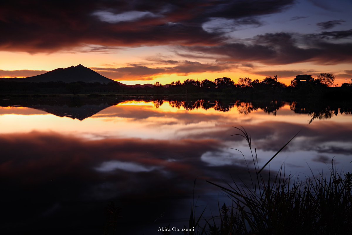 母子島遊水地 Twitter Search