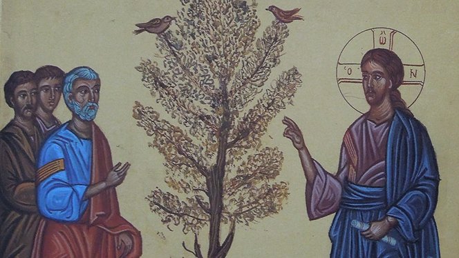 Today’s Gospel includes the parable of a fig tree that bears no fruit.

The tree that bears no fruit is evocative of the moral person who bears no spiritual fruit. We can become so resistant to God’s grace that our leaves dry up.

usccb.org/bible/readings…