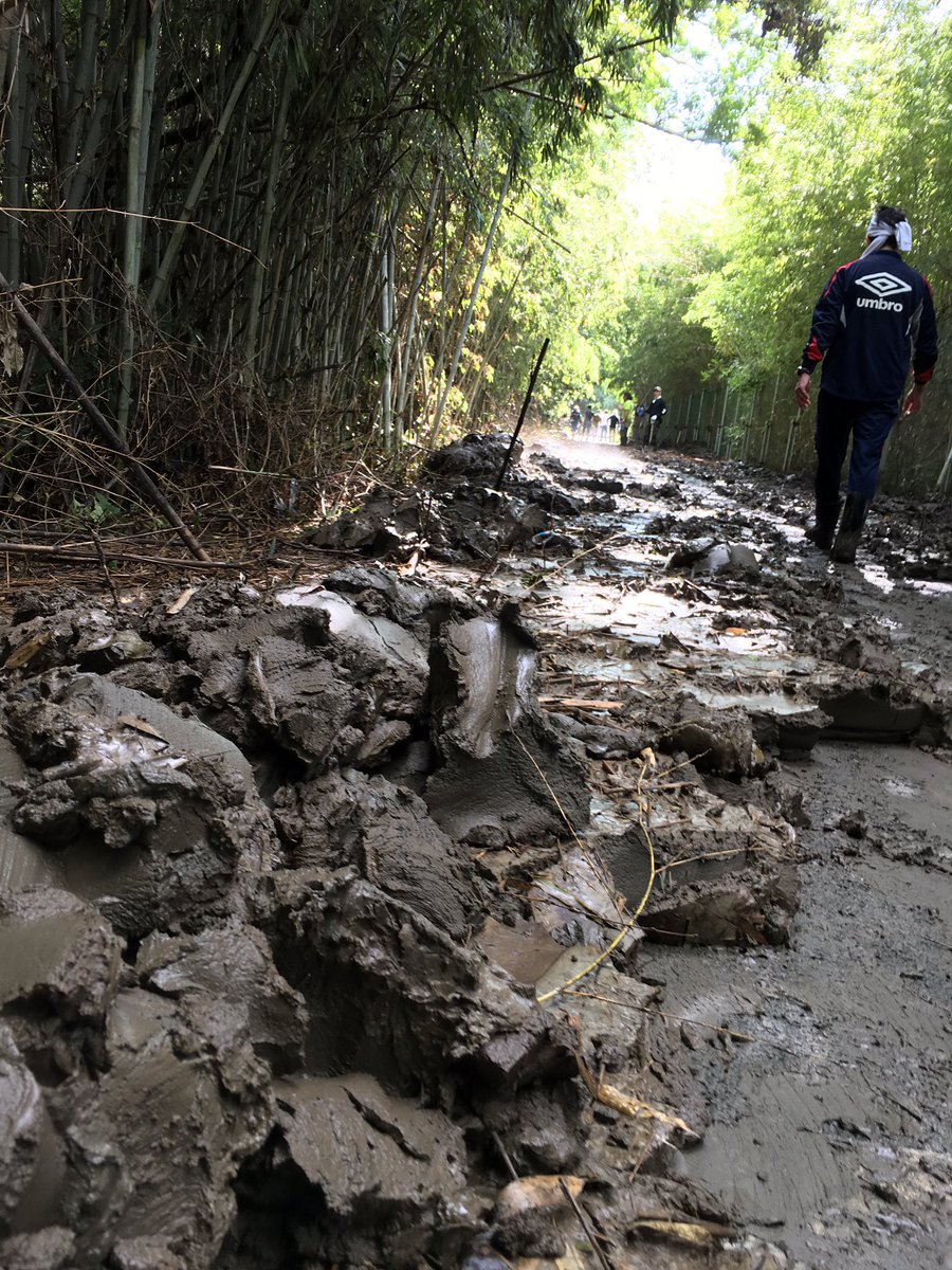 ogumagu's tweet photo. 荒サイ清掃、第3回目終了。

目標だった竹やぶトンネルの貫通に成功したぞー！

ウォォォォォォ！
｡ﾟ(ﾟ´Д｀ﾟ)ﾟ｡

今日、集まったのは19人！ライド仲間、友達の友達、さらには全く顔のわからないTwitter繋がりの方々まで！

自転車のもつ繋がり力の強さに感動したよ！本当にみんなありがとう！ https://t.co/aj32vymH4x