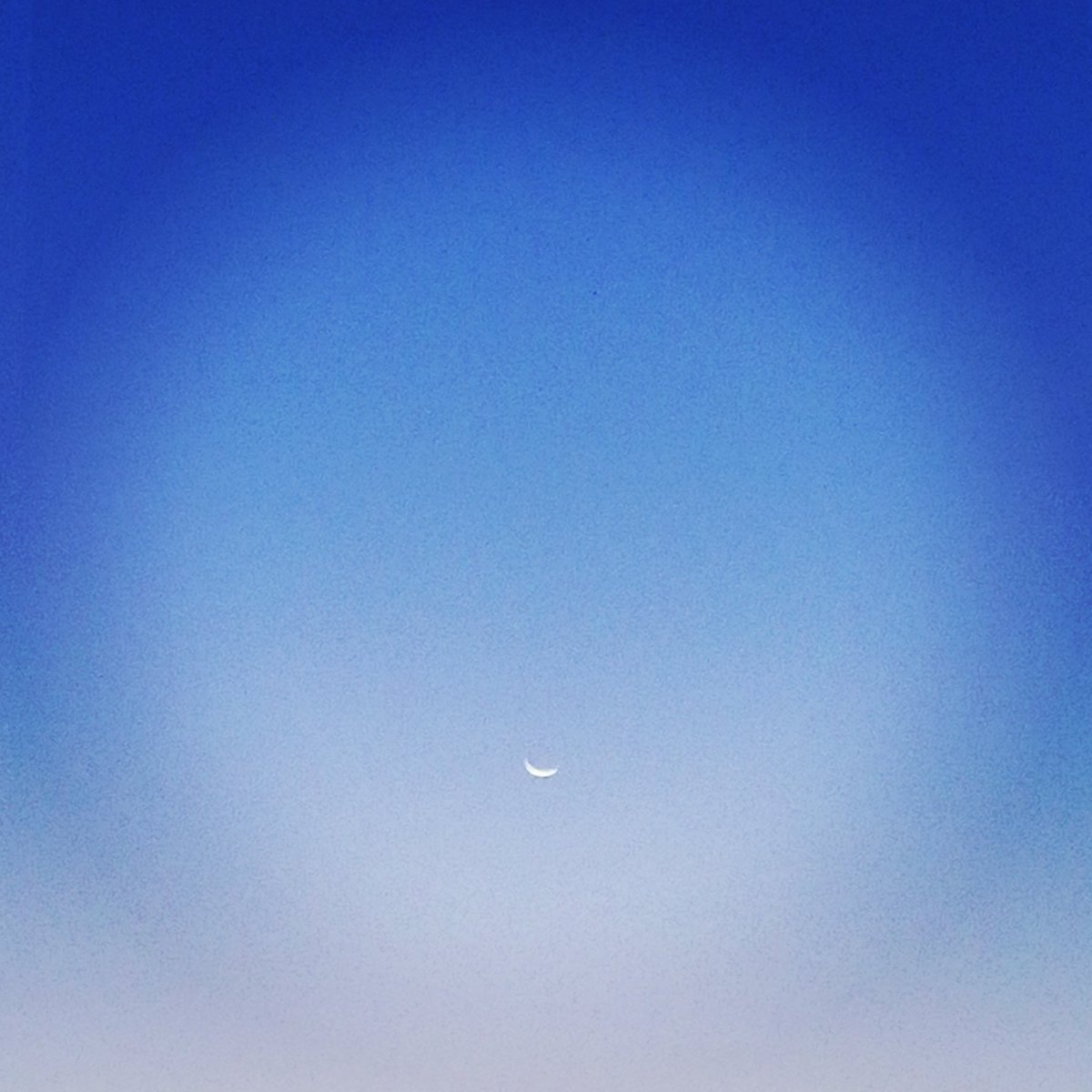 BB_SunBeach's tweet photo. È sempre bello iniziare la giornata con un sorriso!!! 😀 #Buongiorno mondo!!!

#bedandbreakfast #bbsunbeach #RivieradellePalme #SanBenedettodelTronto #risveglio #sorriso #luna https://t.co/LL2Bcf2Jac