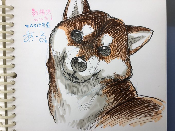 「柴犬 アナログ」のTwitter画像/イラスト(新着)｜6ページ目
