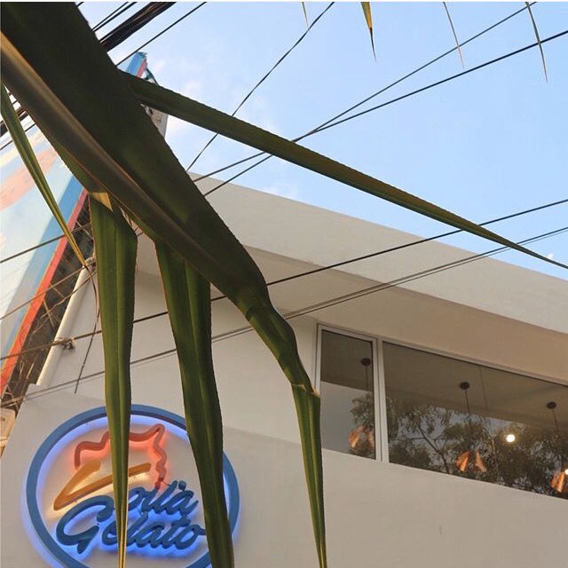 FrankyAPH's tweet photo. Numpang promo yes. Hehe
Buat yang di Solo ato mau berkunjung ke solo. Mampir donk ke gelateria saya namanya VOILA GELATO. Lokasinya d Jl. Slamet Riyadi No. 266 Solo. Lokasi tengah kota kok.
Ada 12 pilihan rasa yang pastinya enak kok. Harga ga mahal, start 20k https://t.co/cU3L51LCu1
