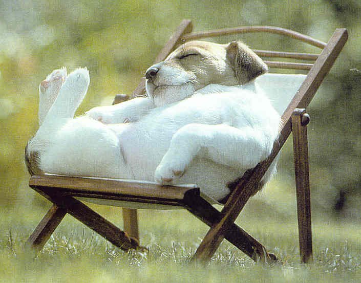 😁Bis bald meine Lieben ruhe mich noch
aus , denke an euch