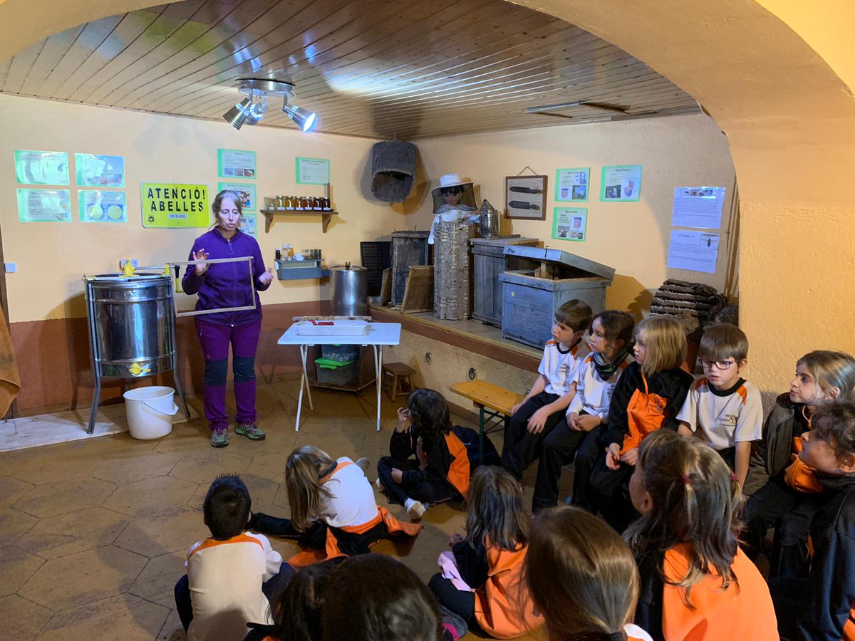 vedrunacent's tweet photo. Elss nens i nenes de cicle inicial hem descobert el món de les abelles i hem fet d'apicultors! #1PRIMSSCC #2PRIMSSCC https://t.co/yA1qHymvbB