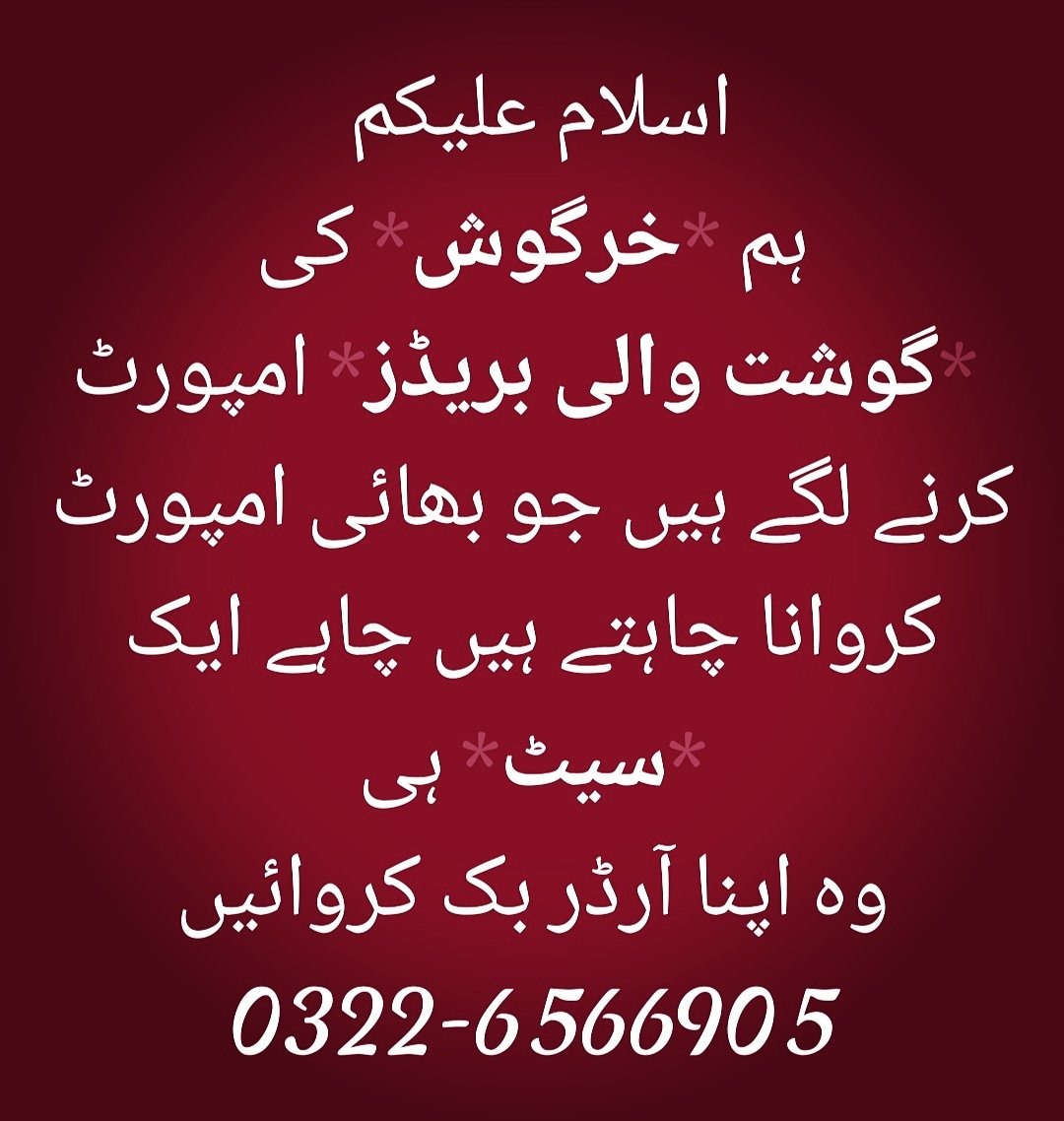 IrfanAjizAdv's tweet photo. #RabbitFarminginPakistan
#PAKvSL https://t.co/Yh5tOxaBLi