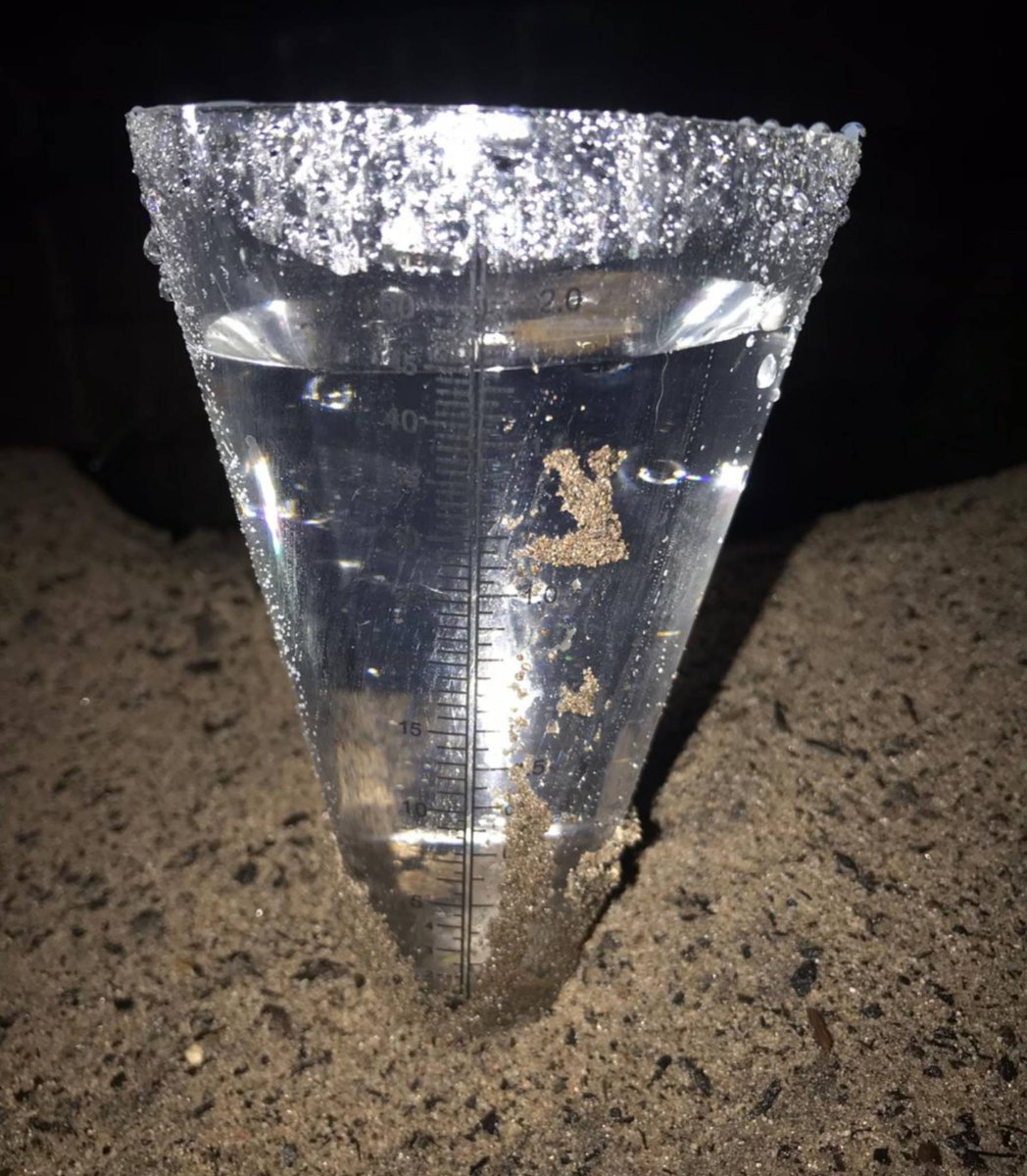 beverleygolf's tweet photo. Saturday 26th October
After 45mm of rain since yesterday afternoon, regrettably the course is CLOSED for the day
The Bar is open this morning for those wanting to watch #ENGNZ in the RWC, and the shop will remain open until mid afternoon
#grimday https://t.co/5kFSLRKU5l