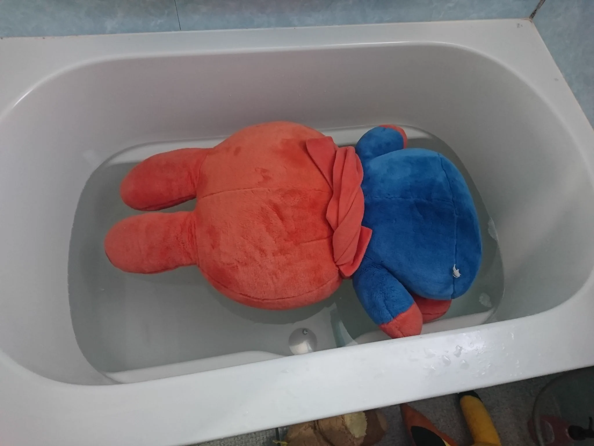 @dh_____dh__ FF外から失礼します
我が家の子と色違いですね（笑） 
