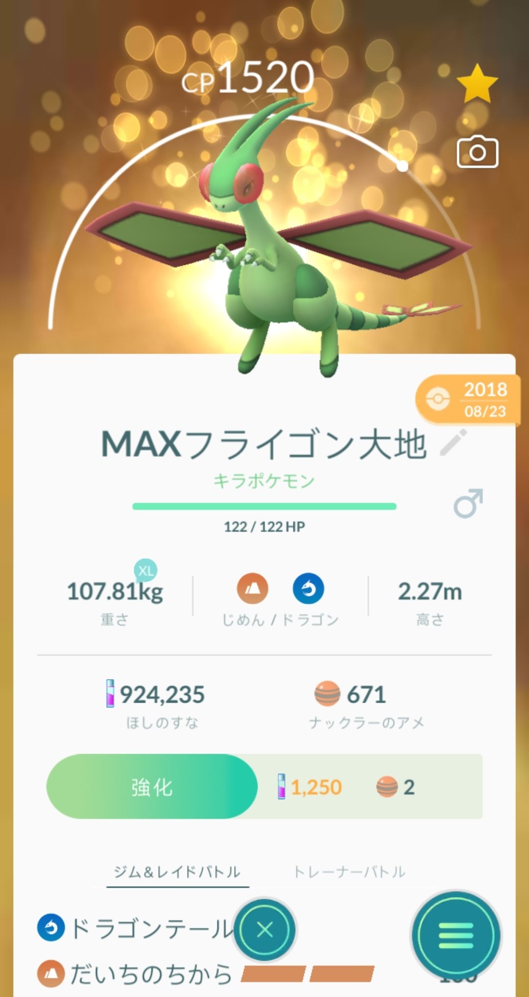 まなてぃ ポケモンgo4赤 兵庫 姫路 加古川 フライゴン作り過ぎた ま いっか ナックラー フライゴン ポケモンgo T Co Uywyskcctc Twitter