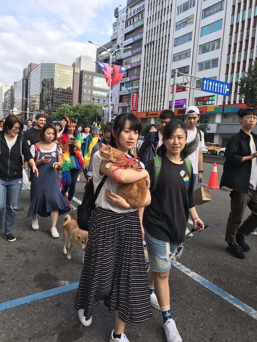 RikGlauert's tweet photo. Is this Asia's most pet-friendly pride? #TaiwanPride #petsforpride https://t.co/4fsaSYAmM7