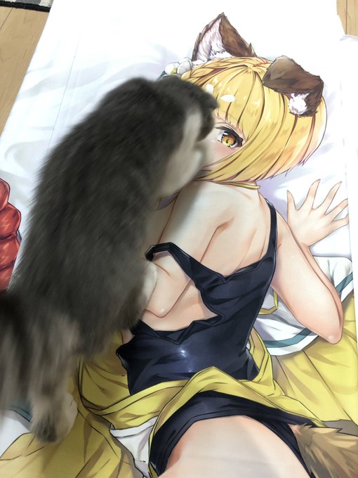 抱き枕の!!校正が!!届きました!!!!
スク水のキラキラ感とかタイツの繊維まで綺麗に印刷されてます!!!😭✨ 