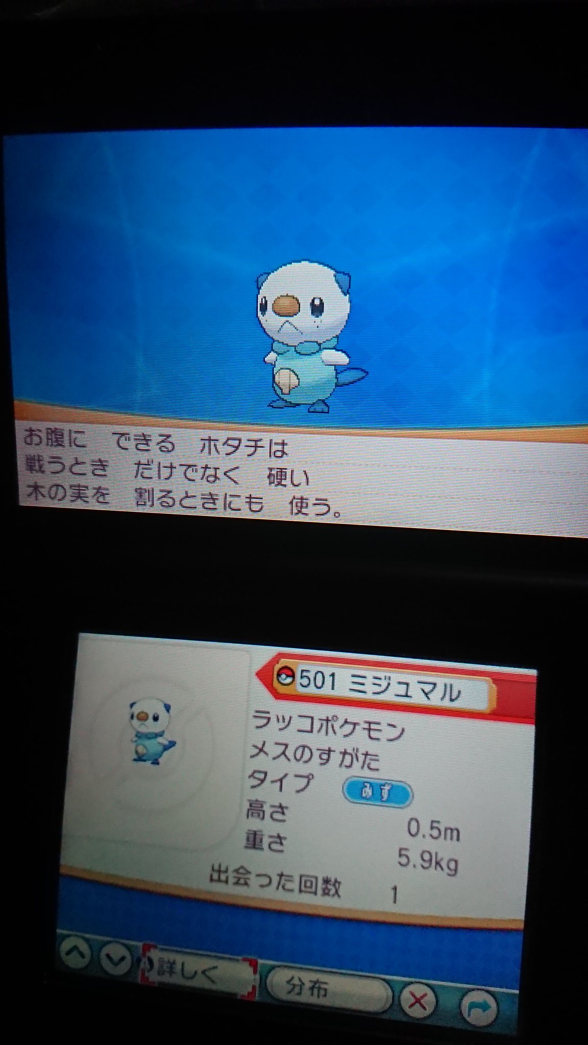 刹那 泡沫夢幻 Auf Twitter ミジュマルぅ 可愛い過ぎる そう思わないかい 笑 ポケモンオメガルビー エピソードd ﾃﾞﾙﾀ 篇のクリア後に貰える イッシュ御三家ポケモン ミジュマル 可愛い過ぎる ダイケンキ らっこポケモン