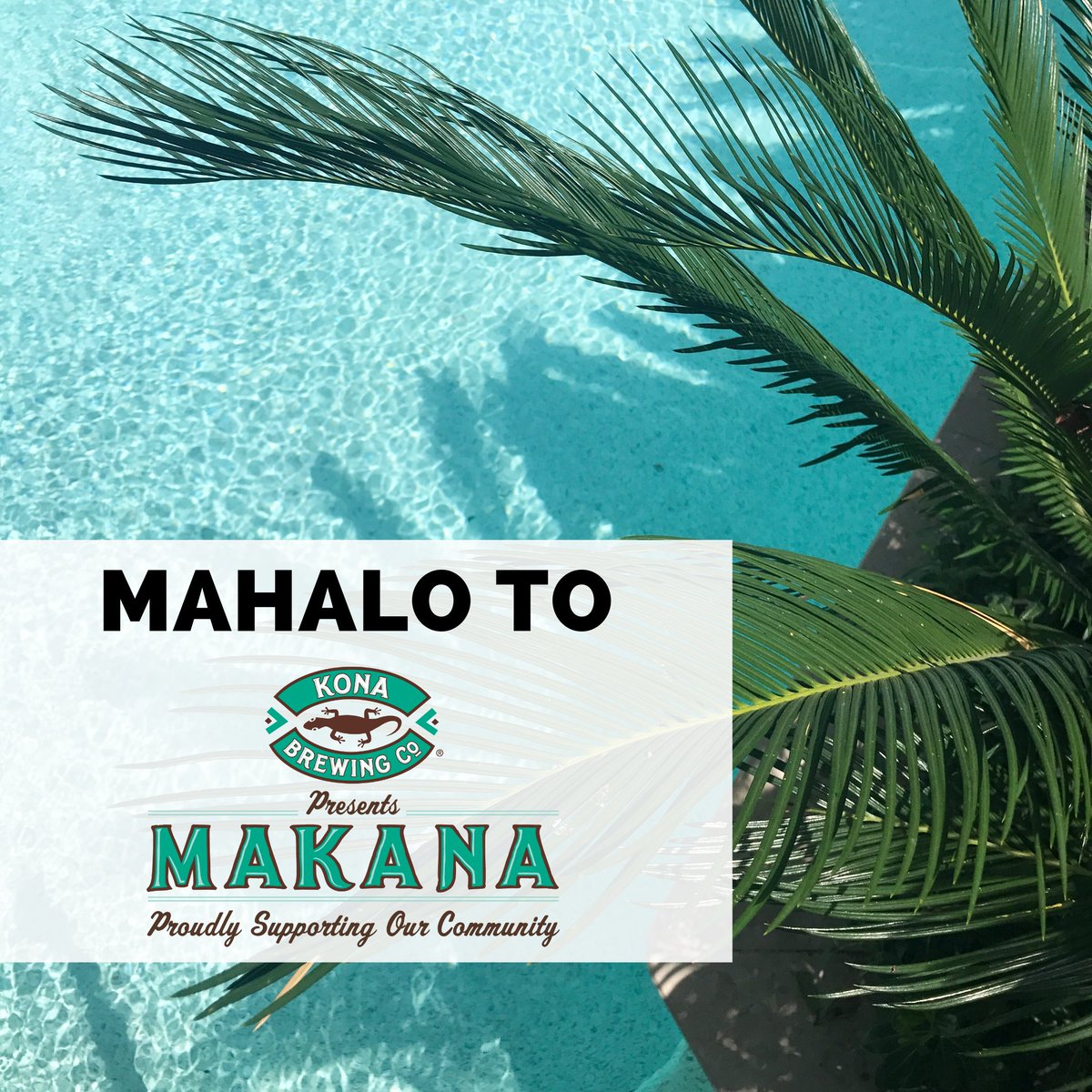 HIFF's tweet image. A huge mahalo to @KonaBrewingCo for providing #LiquidAloha during this year&apos;s Fall Festival. #oneliferight