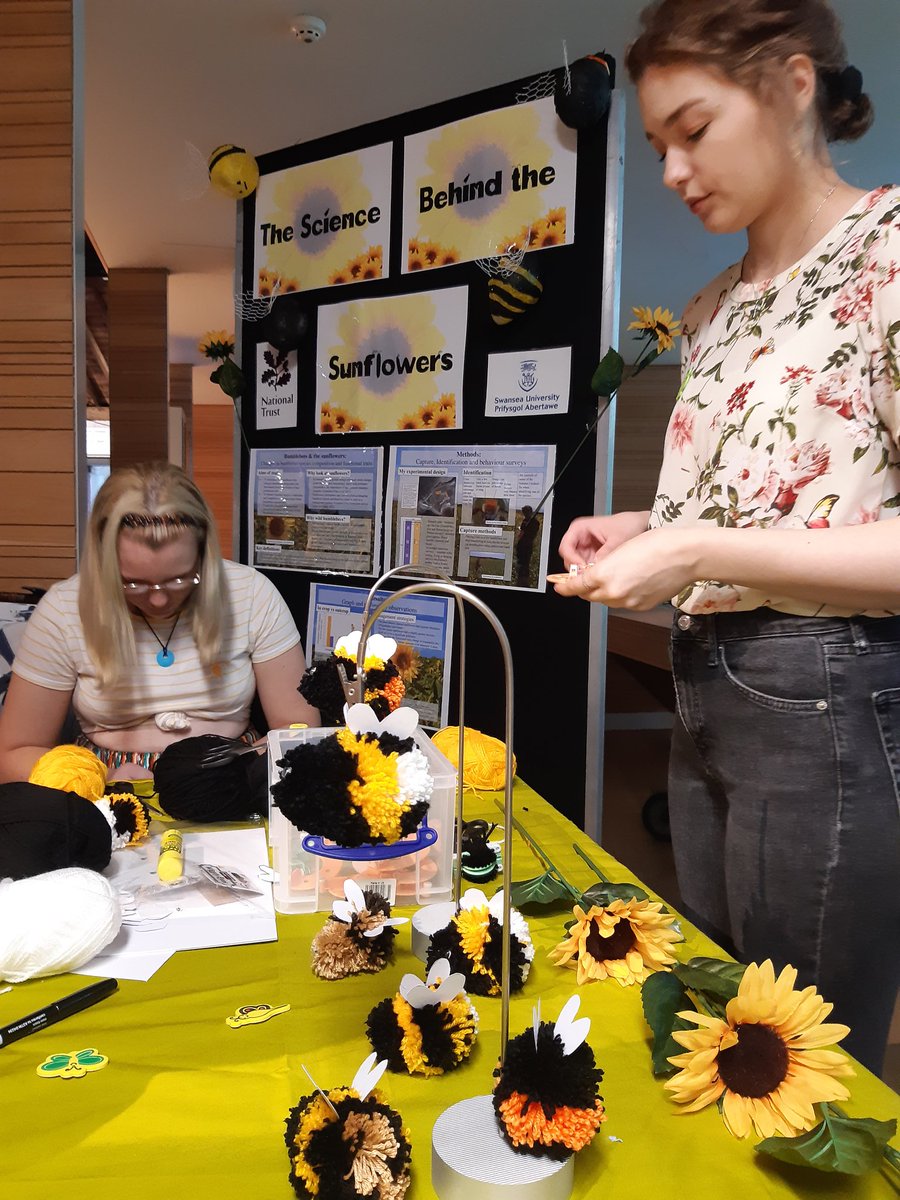 WendyEHarris's tweet photo. Come and find out #the ScienceBehindtheSunflowers at the #SwanseaSciFest this weekend! @swanscience @markhipkin1 @GowerNT @greenb_89 @benclunie https://t.co/lo2E7oyPyZ
